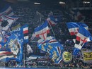 Zero punti in quattro partite: la Sampdoria a Bari per risollevarsi Zero punti in quattro partite: la Sampdoria a Bari per risollevarsi