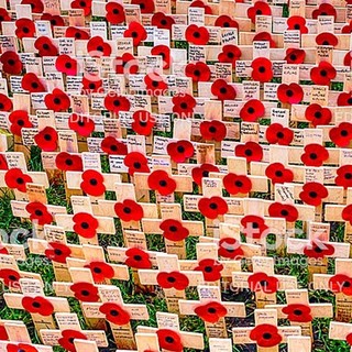 "Songs of Poppies": racconti di guerra in musica e poesia allo Spazio Lomellini 17