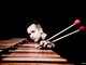 Simone Rubino, il concerto del 30 ottobre rinviato al 13 novembre Simone Rubino, il concerto del 30 ottobre rinviato al 13 novembre