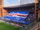 Samp, contro il Cosenza serve solo la vittoria: alle 15 il match del “Ferraris” Samp, contro il Cosenza serve solo la vittoria: alle 15 il match del “Ferraris”