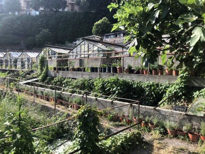 Alle Ortiche Festival: il grande laboratorio artistico 'verde' a Genova