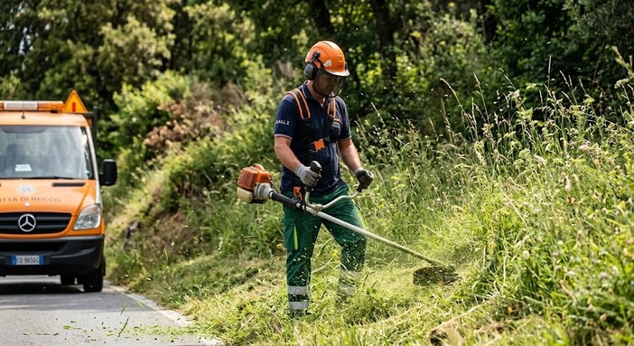 Recco, al via il piano di sfalcio estivo nelle vie collinari: scattano i divieti di sosta e i sensi unici alternati Recco, al via il piano di sfalcio estivo nelle vie collinari: scattano i divieti di sosta e i sensi unici alternati