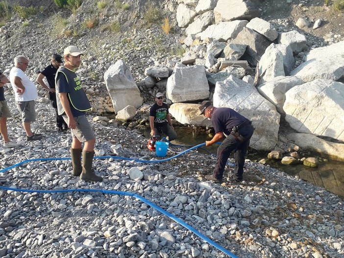 Fiumi in secca, situazione drammatica per la fauna ittica ligure Fiumi in secca, situazione drammatica per la fauna ittica ligure