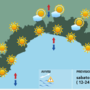 Meteo, al mattino cieli nuvolosi sul settore centro-orientale