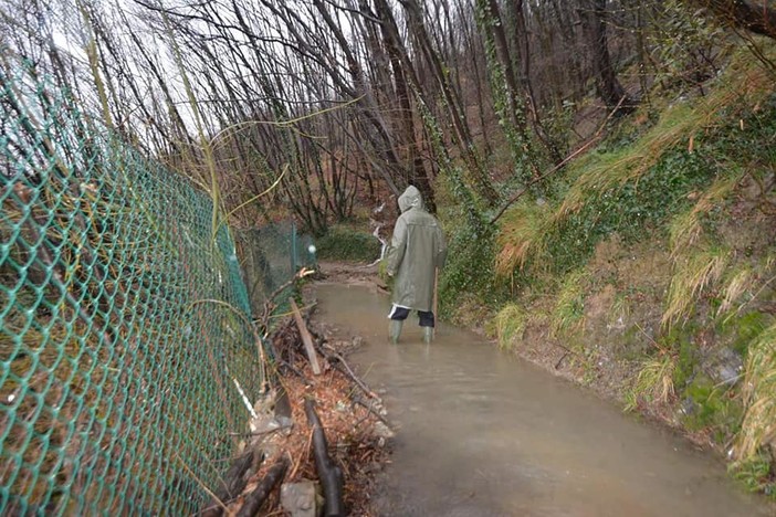 Sampierdarena, la denuncia: "La strada per i Forti di Genova dimenticata dal Comune" Sampierdarena, la denuncia: "La strada per i Forti di Genova dimenticata dal Comune"