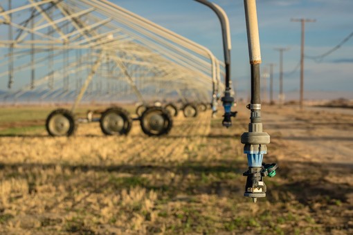 Siccità, Piana: &quot;2 milioni di euro di risorse nazionali per sostenere la nostra agricoltura&quot;