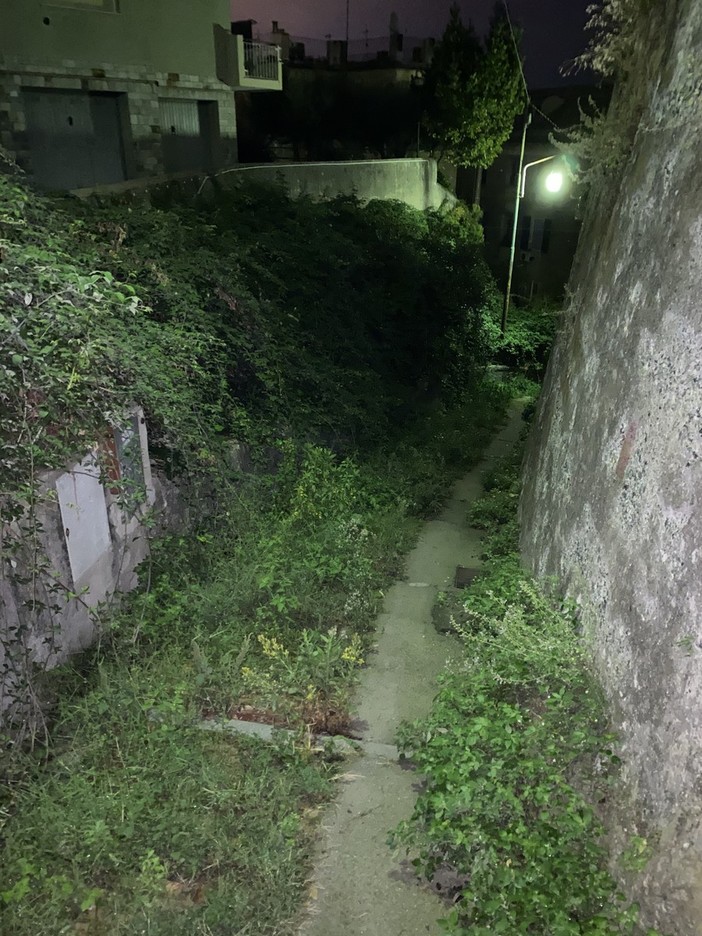 Pegli, benvenuti nel regno delle erbacce