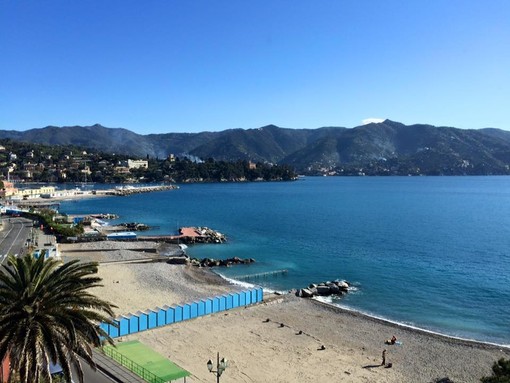 Coronavirus: "Emergency On Planet Earth" Coronavirus: "Emergency On Planet Earth"