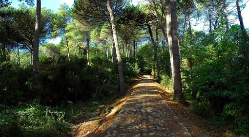 Parco di Portofino, il Coordinamento: “Già persi due milioni, ora si vada avanti”