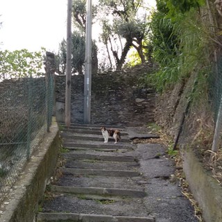 Salita Dante Conte a Sampierdarena spera in interventi che la rendano degna della sua storia entro l’anno in corso