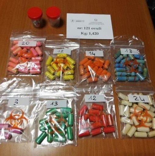 Aeroporto di Genova: quasi un chilo e mezzo di cocaina sequestrato (FOTO) Aeroporto di Genova: quasi un chilo e mezzo di cocaina sequestrato (FOTO)