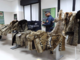 L’operazione dei Carabinieri Forestali: sequestrate 11 pellicce di felini selvatici L’operazione dei Carabinieri Forestali: sequestrate 11 pellicce di felini selvatici