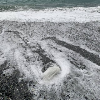 Vesima: i sacchi di plastica segnaposto finiscono in mare (VIDEO)