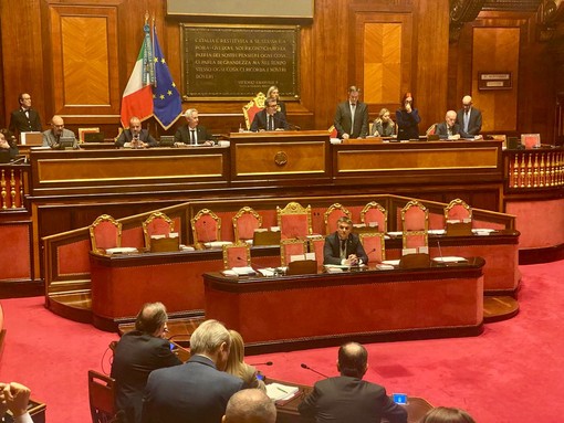 L'Istituto Italiano di Tecnologia al Senato: “Investire in ricerca è investire nel futuro dell’Italia”