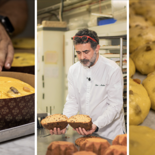 "Io lo faccio così": i dolci della tradizione genovese raccontati dai pasticcieri - I segreti e le differenze tra pandolce basso e alto