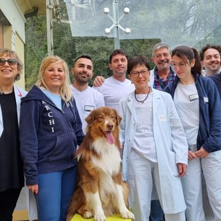 In corsia al Villa Scassi arriva Freccia: inizia il percorso di pet therapy per i pazienti psichiatrici In corsia al Villa Scassi arriva Freccia: inizia il percorso di pet therapy per i pazienti psichiatrici