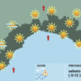 Meteo, sabato soleggiato sulla Liguria Meteo, sabato soleggiato sulla Liguria