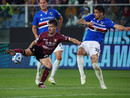 Brescia deferito, la Sampdoria attende: a metà giugno il playout contro la Salernitana? Brescia deferito, la Sampdoria attende: a metà giugno il playout contro la Salernitana?