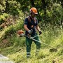 Recco, al via il piano di sfalcio estivo nelle vie collinari: scattano i divieti di sosta e i sensi unici alternati Recco, al via il piano di sfalcio estivo nelle vie collinari: scattano i divieti di sosta e i sensi unici alternati