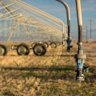 Siccità, Bucci rispolvera l'idea del dissalatore: &quot;Si potrebbe raddoppiare il volume dell'acqua a disposizione&quot;