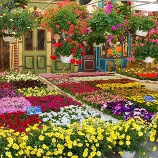 Made in Italy, Ccoldiretti: "Con 832 mln record export piante e fiori"