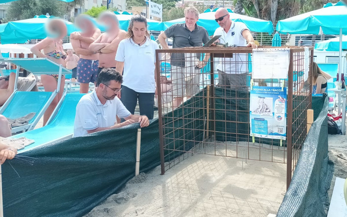 Il sopralluogo al nido di Laigueglia