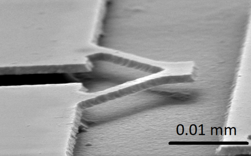 Spim mette a punto nuovi sensori nanoelettromeccanici per lo studio del cervello