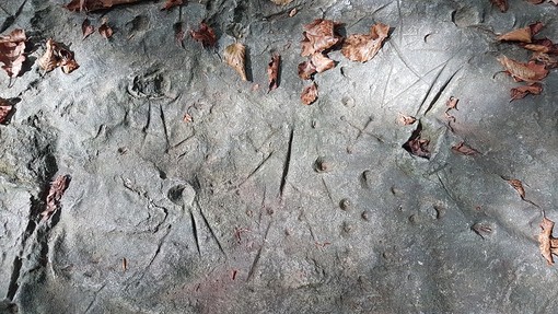 Pietre incise: le faggete del Beigua nascondono la storia del neolitico
