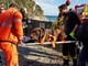 Portofino: cane precipita dalla scogliera e viene salvato dai pompieri
