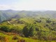 I trekking del Parco del Beigua tra pascoli e fioriture I trekking del Parco del Beigua tra pascoli e fioriture