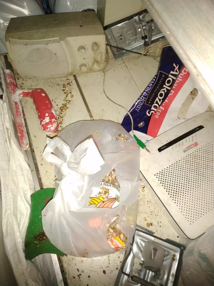 Certosa: trappole per topi tra gli scaffali di un negozio e riso senza etichetta Certosa: trappole per topi tra gli scaffali di un negozio e riso senza etichetta