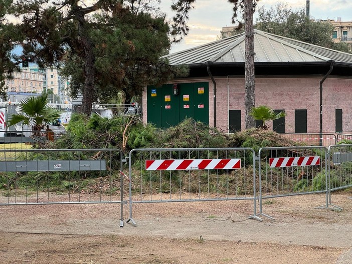 Piano del Verde, il centrodestra perde i pezzi: l’opposizione blocca l’ultimo colpo di coda di fine mandato Piano del Verde, il centrodestra perde i pezzi: l’opposizione blocca l’ultimo colpo di coda di fine mandato