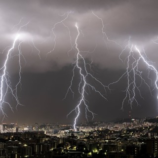 Foto di William Demasi (LIMET)