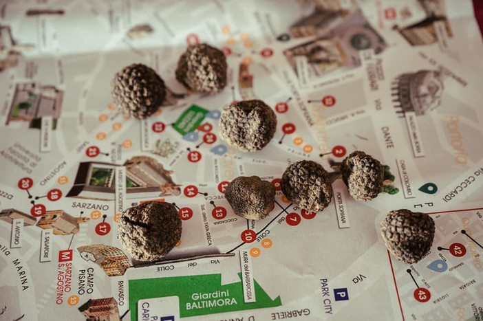 Al via la 7° edizione di "Tartufando": dal 17 al 20 novembre in centro storico per celebrare 'l'oro della terra' Al via la 7° edizione di "Tartufando": dal 17 al 20 novembre in centro storico per celebrare 'l'oro della terra'