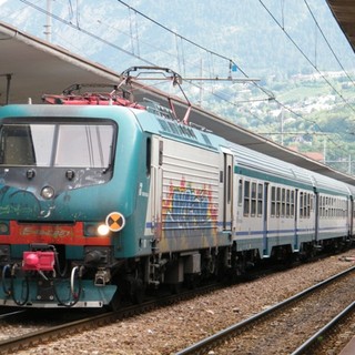 Scarafaggi sui treni regionali, Senarega (Lega): "Continueremo a monitorare la situazione"