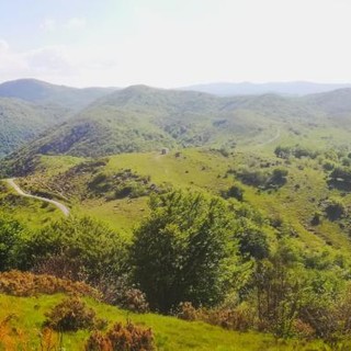 I trekking del Parco del Beigua tra pascoli e fioriture