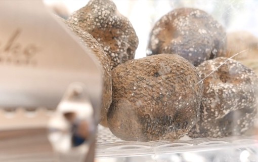 Torna il tartufo in centro storico con Tartufando 2020