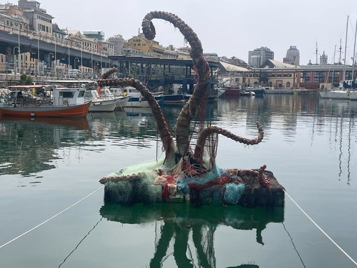 Il 'mostro degli abissi' arriva al Galata Museo del Mare Il 'mostro degli abissi' arriva al Galata Museo del Mare