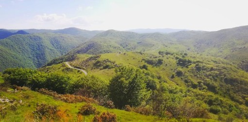 I trekking del Parco del Beigua tra pascoli e fioriture