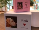 La Generale lancia il nuovo servizio di cremazione di animali domestici “Un amico è per sempre” La Generale lancia il nuovo servizio di cremazione di animali domestici “Un amico è per sempre”