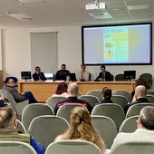 Una palma nana all'ospedale di Rapallo: così l'iniziativa "Un albero per la salute" unisce ambiente e cura Una palma nana all'ospedale di Rapallo: così l'iniziativa "Un albero per la salute" unisce ambiente e cura