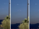Ufo o gabbiano, è ancora aperto il dibattito sull'avvistamento nei cieli di Genova