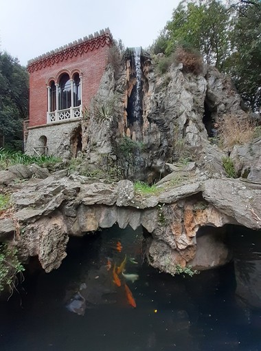 Voltri, a Villa Duchessa rinasce lo storico agrumeto, dopo ben duecento anni Voltri, a Villa Duchessa rinasce lo storico agrumeto, dopo ben duecento anni