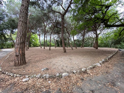 Area cani a Pegli, il dibattito arriva in Comune Area cani a Pegli, il dibattito arriva in Comune