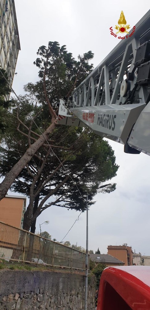 Continuano gli interventi dei vigili del fuoco a causa del forte vento