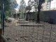 Sestri Ponente, l’area cani in Villa Rossi ha fatto flop