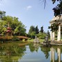 Cinghiali in Villa Pallavicini, il Comitato: "Soluzioni etiche e strutturali, gli abbattimenti non bastano" Cinghiali in Villa Pallavicini, il Comitato: "Soluzioni etiche e strutturali, gli abbattimenti non bastano"