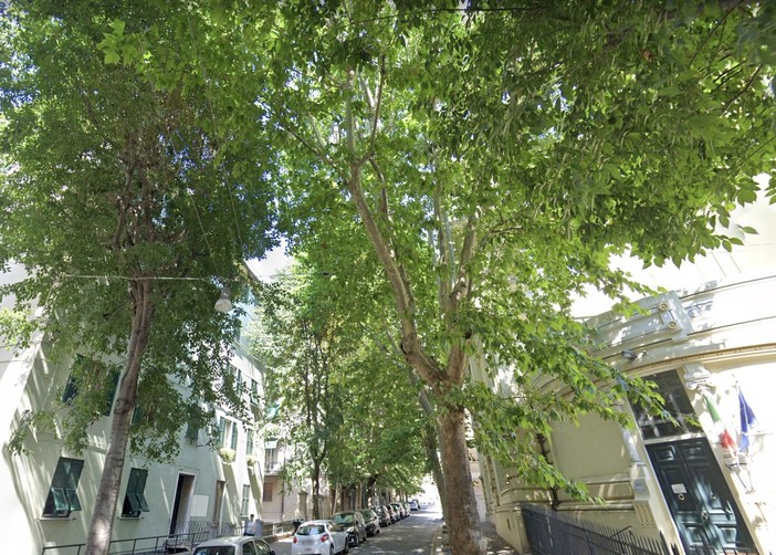 L'assessore Campora (Mobilità) assicura: "Abbattimento del 2 di via Ariosto rinviato per permettere alle persone un'uscita tranquilla"