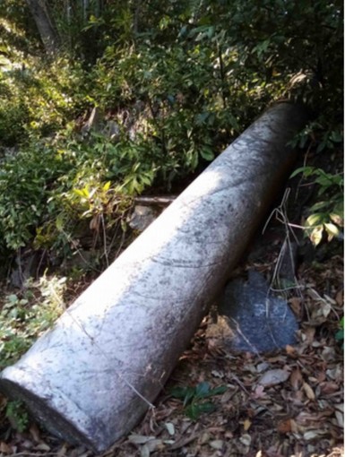 Voltri, prosegue l'opera di abbellimento di Villa Duchessa di Galliera (FOTO)