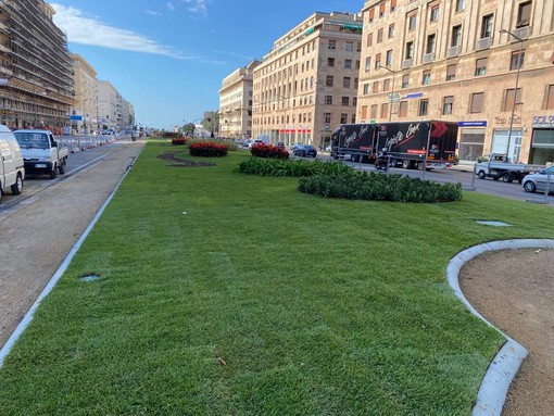 Suolo e verde a Genova diventano “infrastrutture ecosistemiche” nel PUC